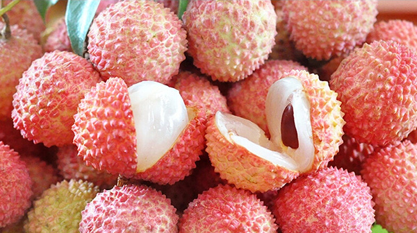 荔行朗洲，相聚東科