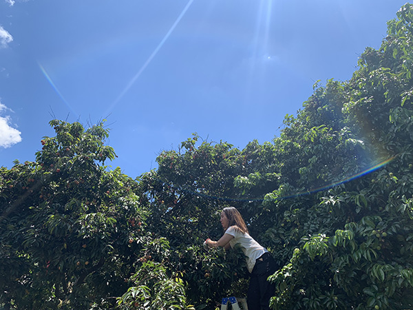 荔行朗洲，相聚東科