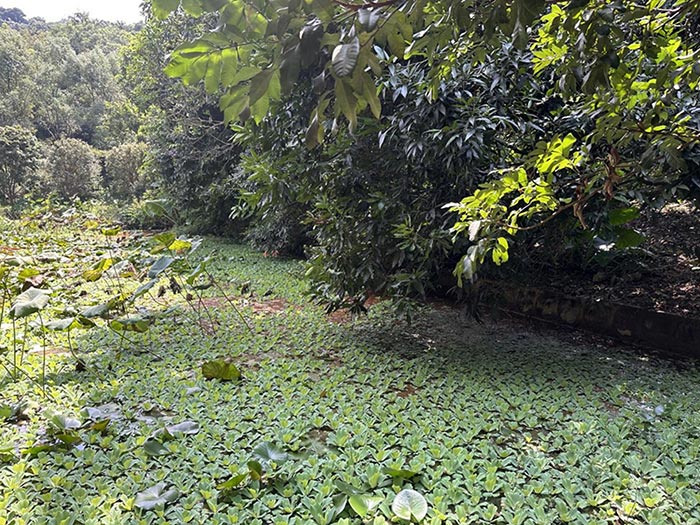 同心逐夢(mèng),溫暖同行 —— 東科集團(tuán)20周年慶團(tuán)建精彩回顧! 同心逐夢(mèng),溫暖同行 —— 東科集團(tuán)20周年慶團(tuán)建精彩回顧!