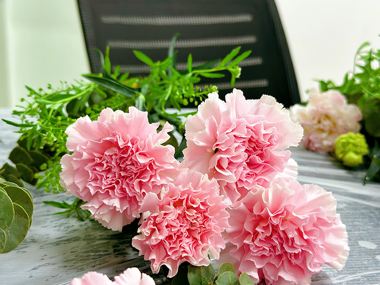 三八婦女節丨祝福所有女人：愿你笑靨如花，一生不減芳華！