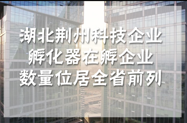 湖北荊州科技企業孵化器在孵企業數量位居全省前列